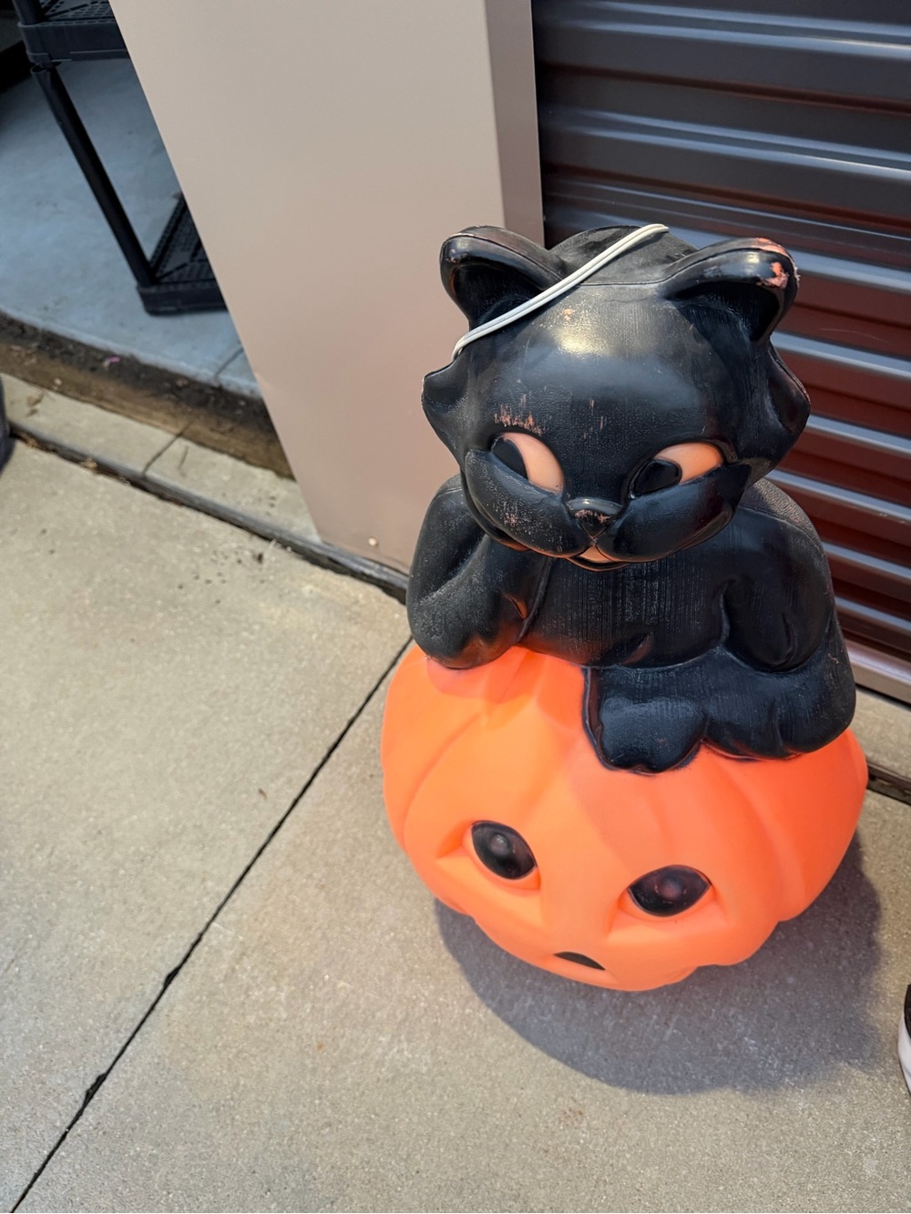 Black Cat on Orange Pumpkin Halloween Accent